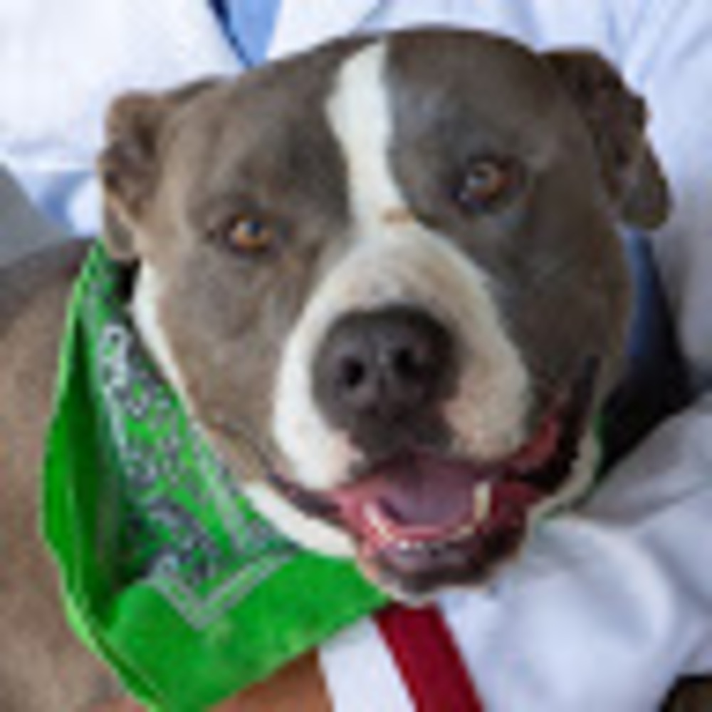 Meet your Posher, Yesenia